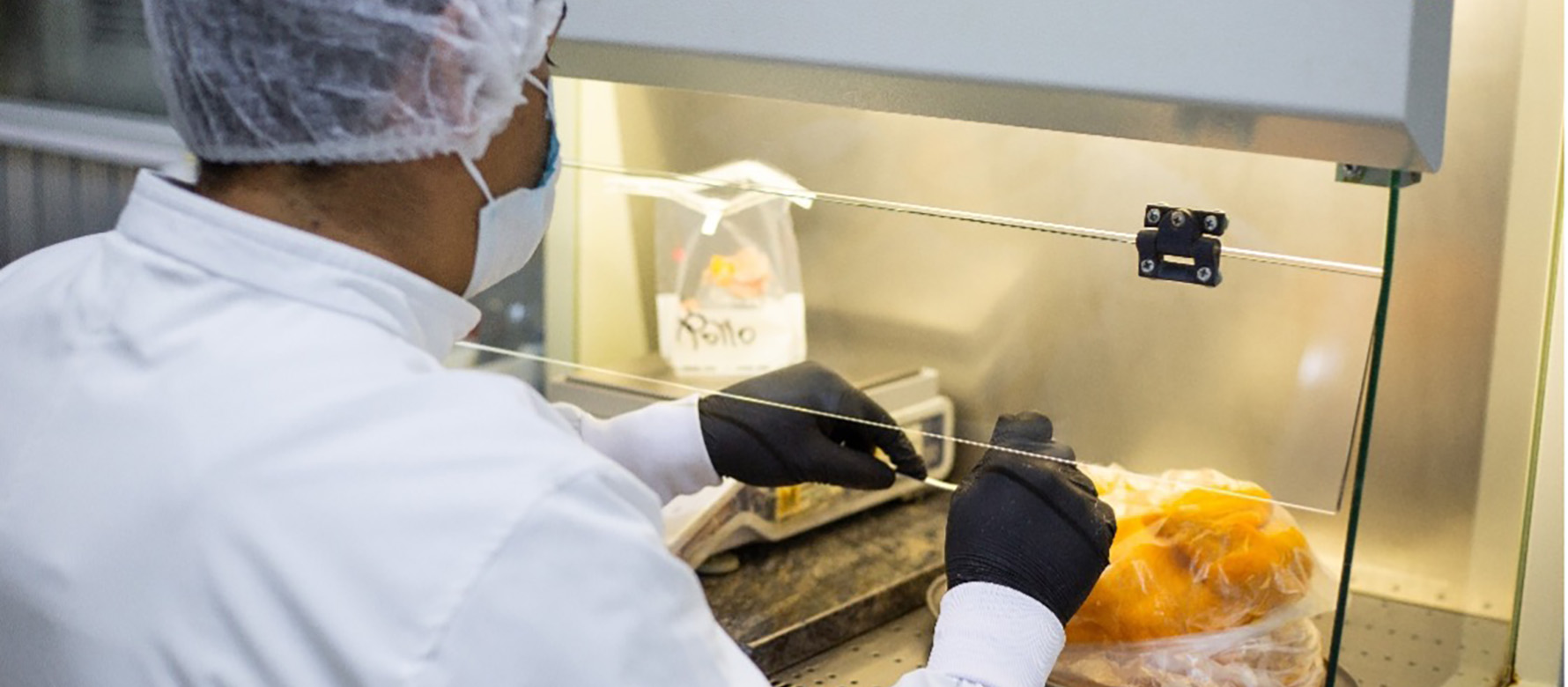 ACT / Colombia and the Plurinational State of Bolivia strengthen antimicrobial resistance surveillance 