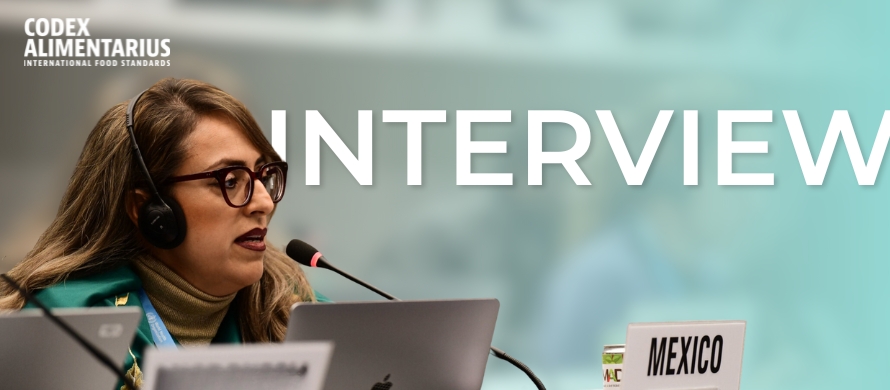 Fresh perspectives: an interview with the new Chairperson of CCFFV23