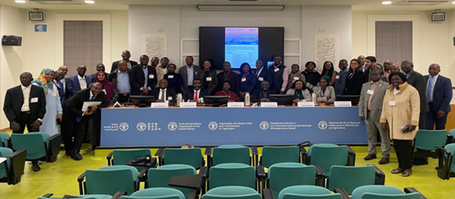 CAC48 / African missions in Rome commit to stronger Codex engagement