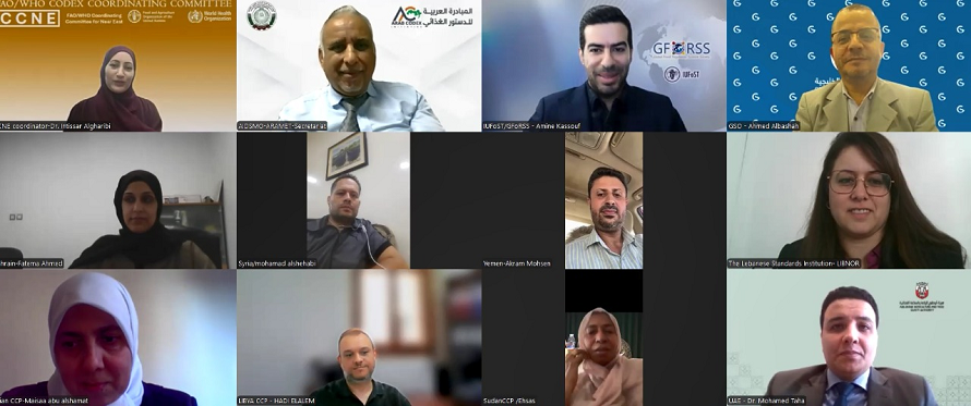 CCNE meetings lay groundwork for CCSCH8 and CAC48