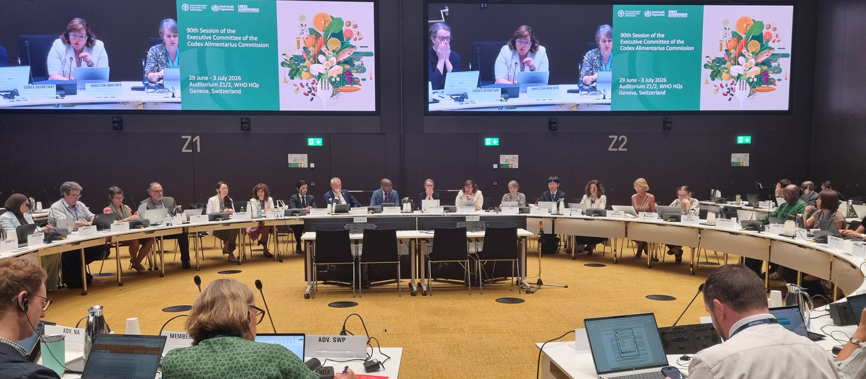 CCEXEC90 / Executive committee discusses recommendations for 49th Commission meeting